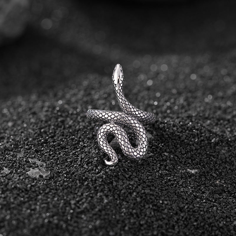 S925 Sterling Silver Serpent Jewelry Collection – Bold Snake Motif Designs - Taichi - Zen